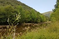 Ruta del Acebo y las Fuentes. Recorre la ribera del río Estena hasta la Fuente de las Chinas y Fuentefría. Ruta del Acebo y las Fuentes. Recorre la ribera del río Estena hasta la Fuente de las Chinas y Fuentefría.