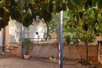 Patio de la casa rural con árboles y plantas Patio de la casa rural con árboles y plantas